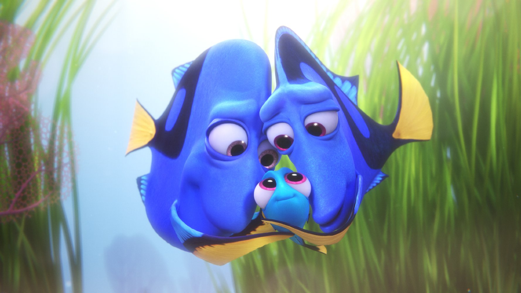 Di Tim Dory