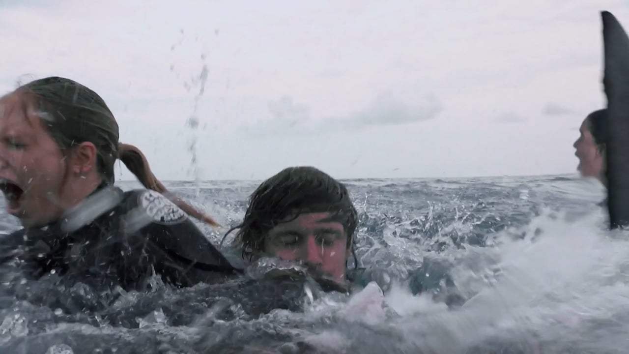 Shark Terror