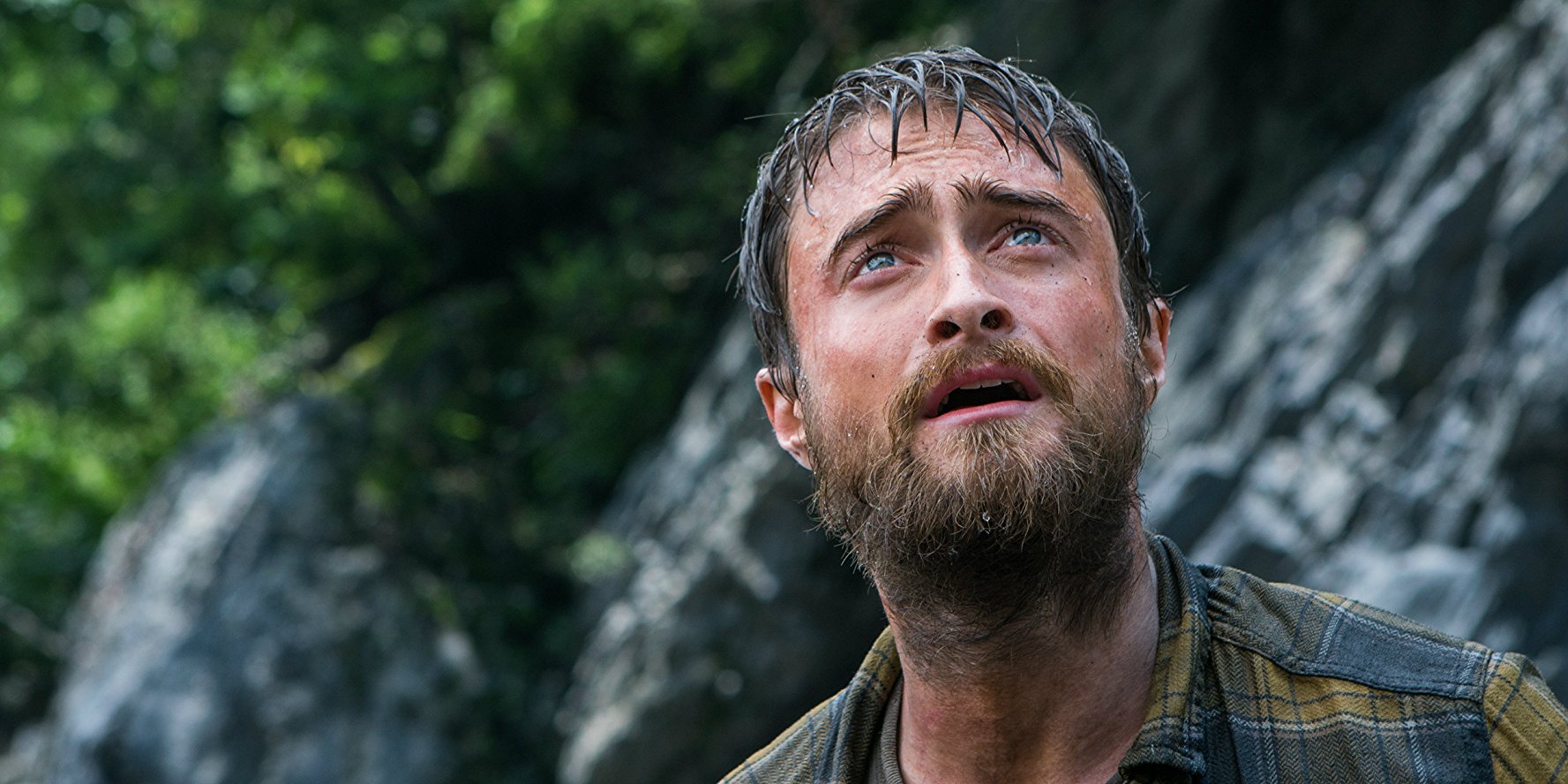 Jungle - banner