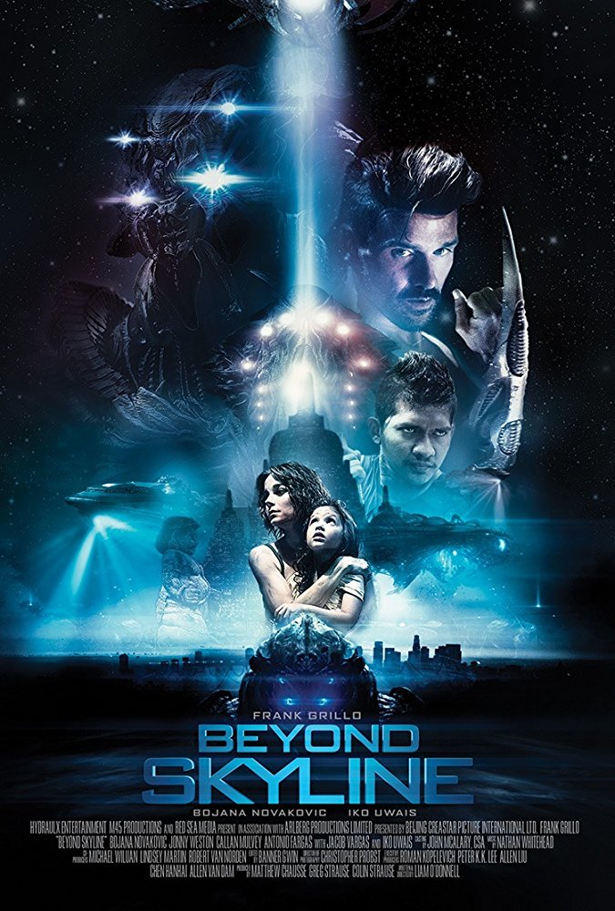 Vùng Trời Diệt Vong poster
