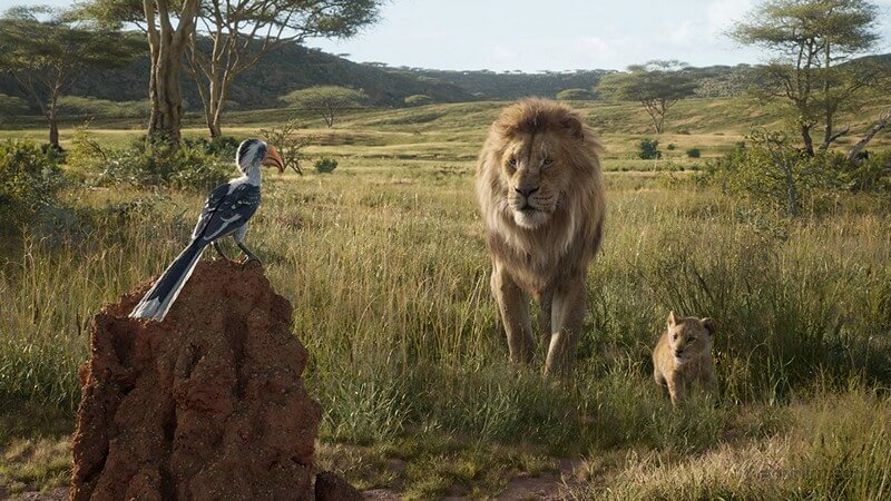 Simba và bố
