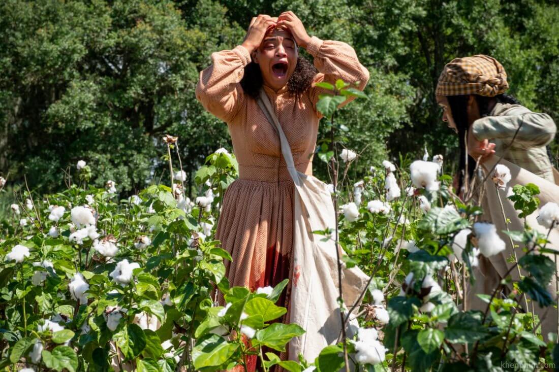 Những người da đen bị bắt làm nô lệ, bóc lột sức lao động một cách tàn nhẫn