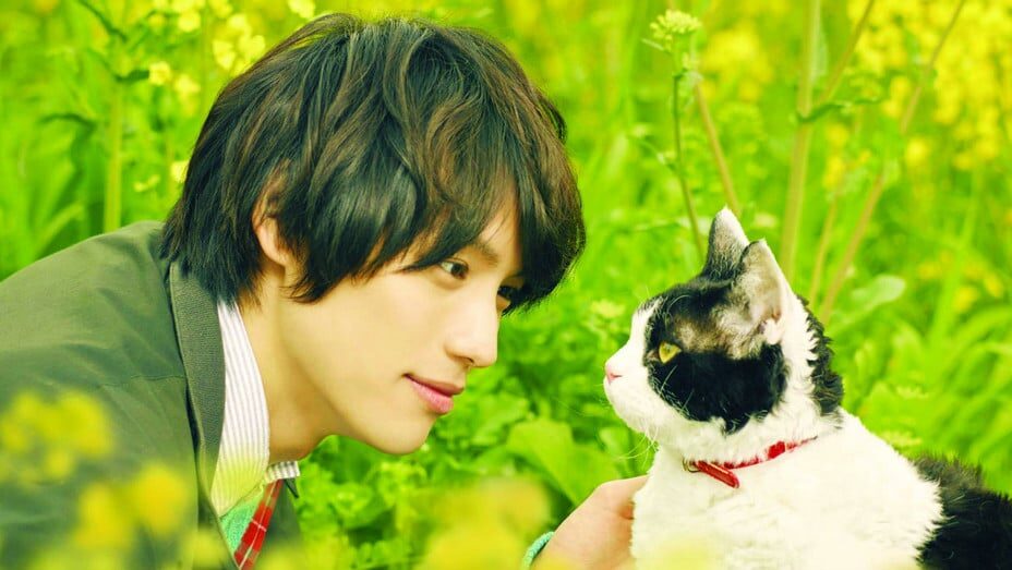 Banner review phim Nana Du Ký - The Travelling Cat Chronicles