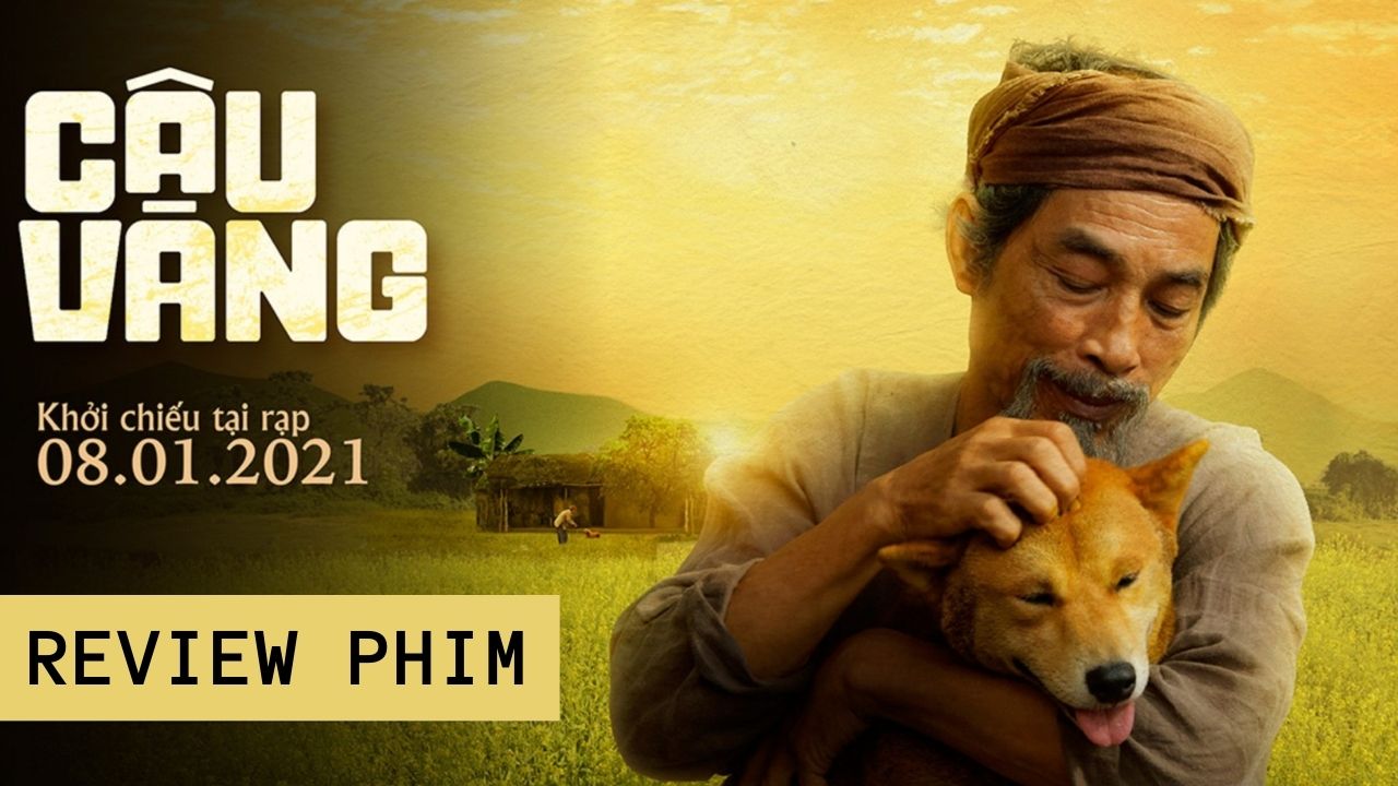 Banner review phim Cậu Vàng