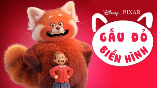 Banner bài review phim Gấu Đỏ Biến Hình