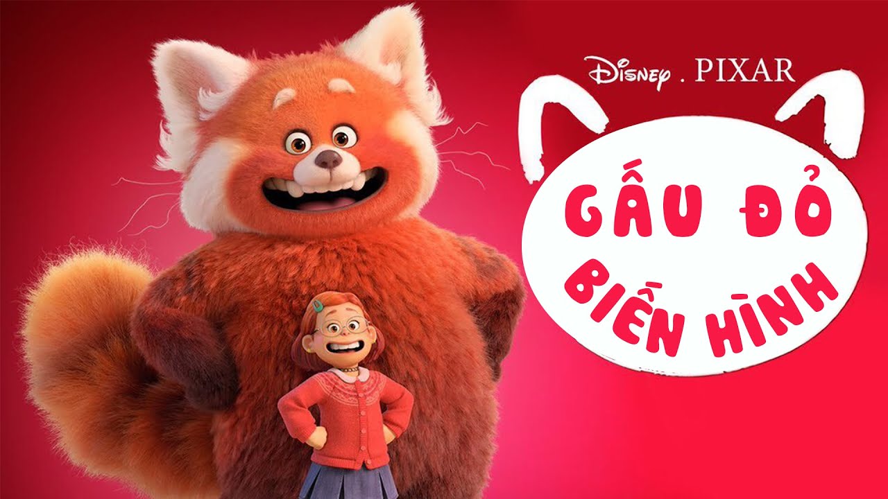 Banner bài review phim Gấu Đỏ Biến Hình