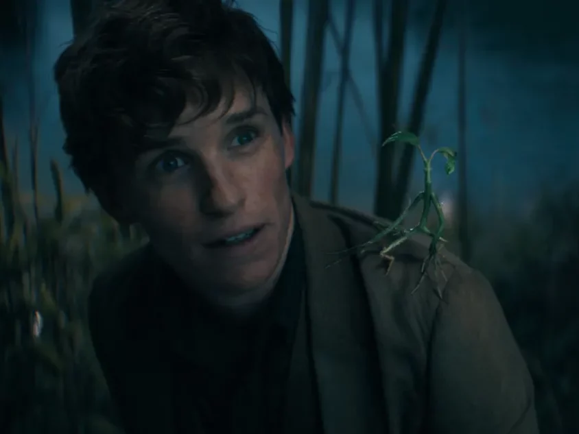 Một cảnh trong phim Fantastic Beasts: The Secrets of Dumbledore