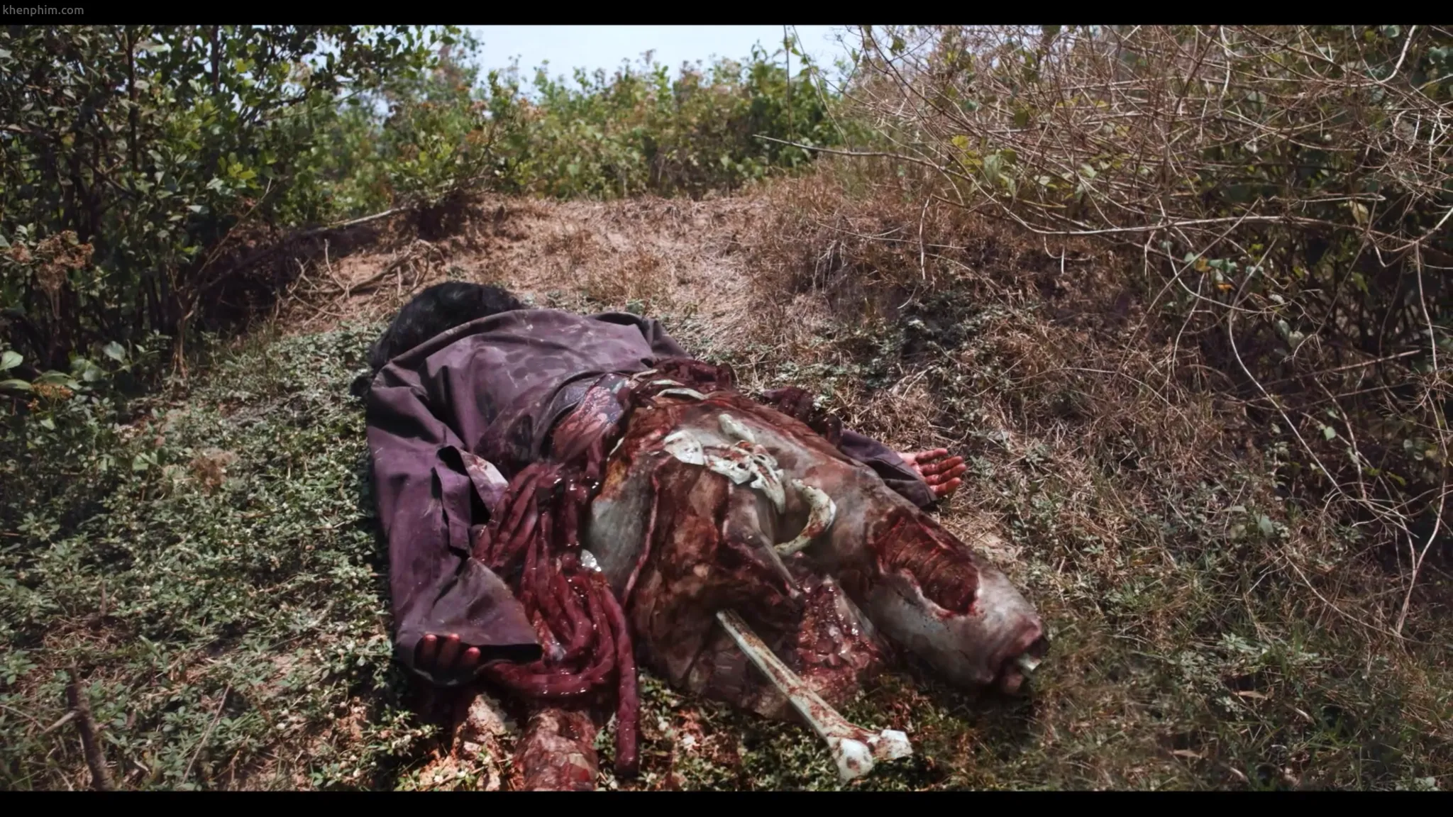 Khen Phim đánh giá cao việc hóa trang và những khâu liên quan, bởi hình ảnh zombie nhìn khá ghê