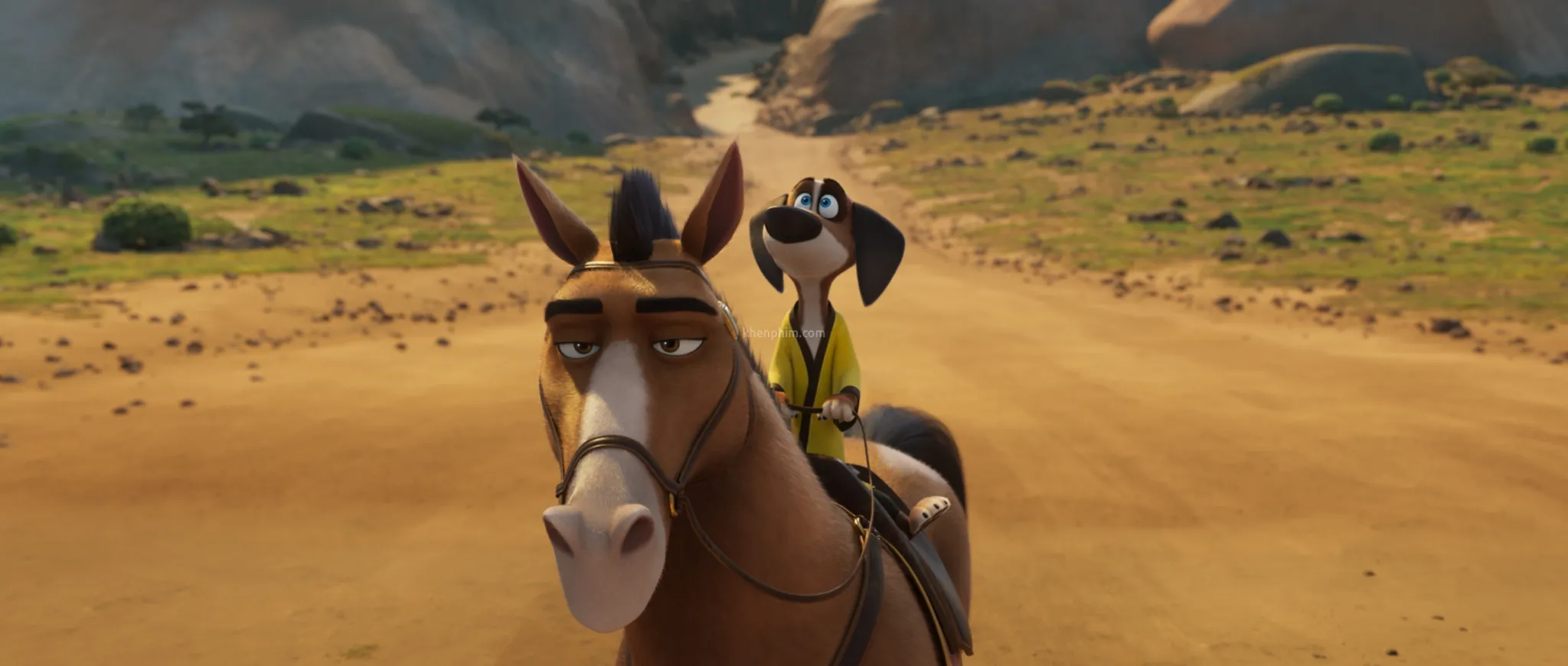 Chú chó Hank và ước mơ trở thành samurai