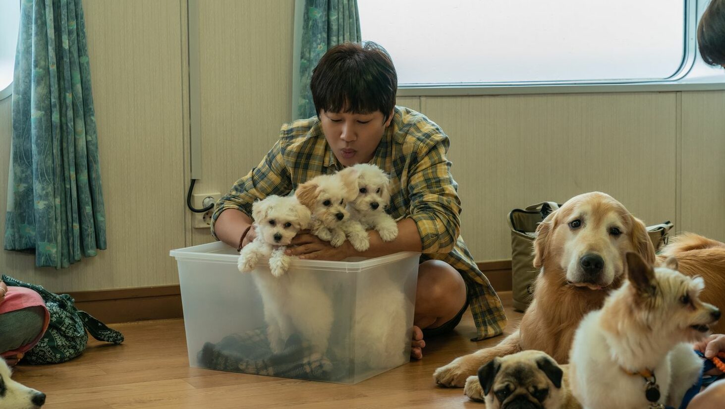 Banner bài review phim Tìm Nhà Cho Boss