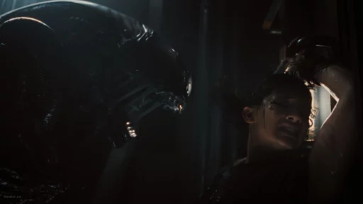 Ảnh đại diện cho bài đánh giá phim Alien: Romulus (Quái Vật Không Gian: Romulus)
