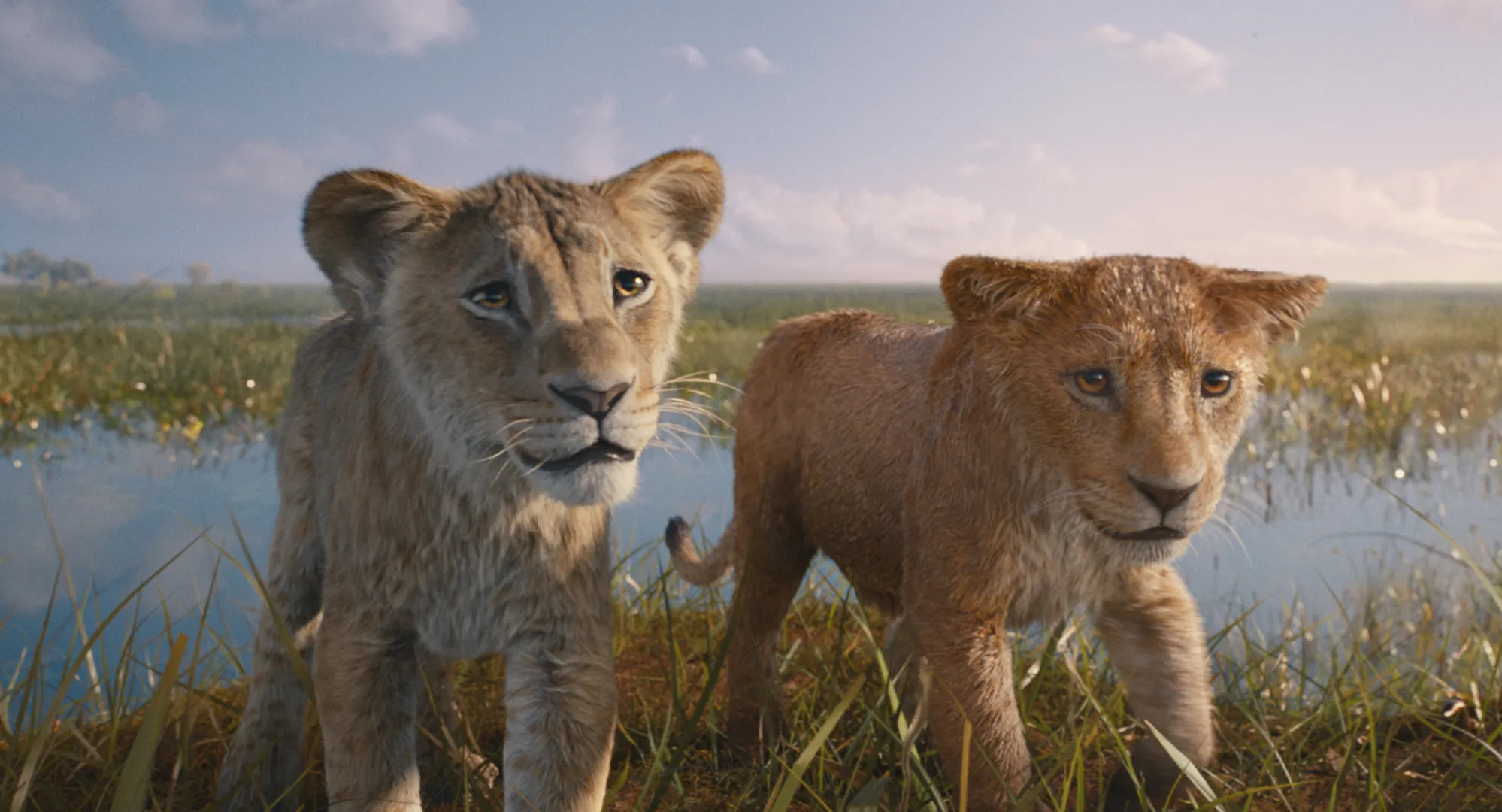 Taka (bên trái) và Mufasa lúc nhỏhi tiết, thấy rõ từng sợi lông