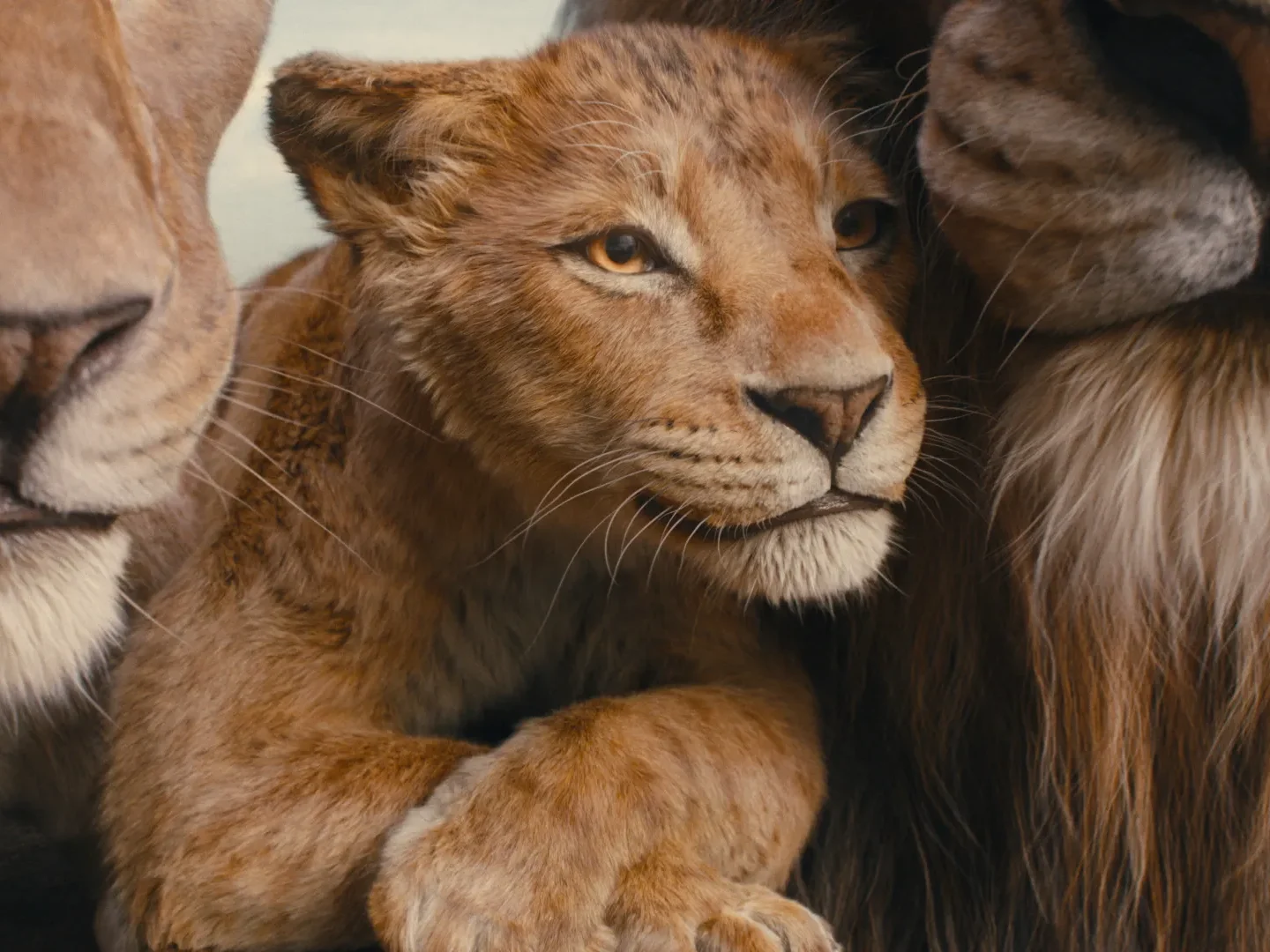 Đồ họa trong phim Mufasa ở mức siêu chi tiết, thấy rõ từng sợi lông