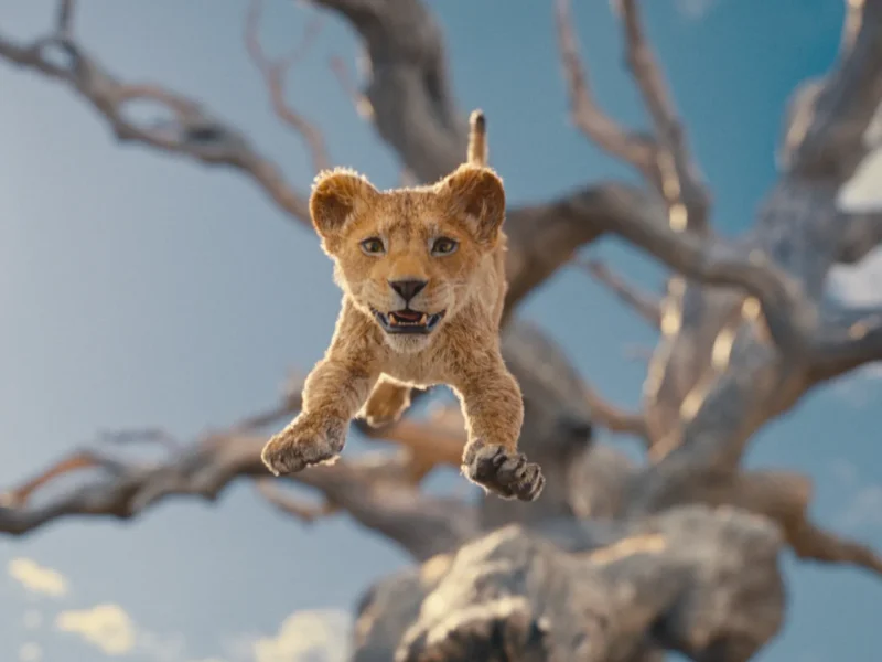 Thumbnail bài đánh giá phim Mufasa: The Lion King (Mufasa: Vua Sư Tử)