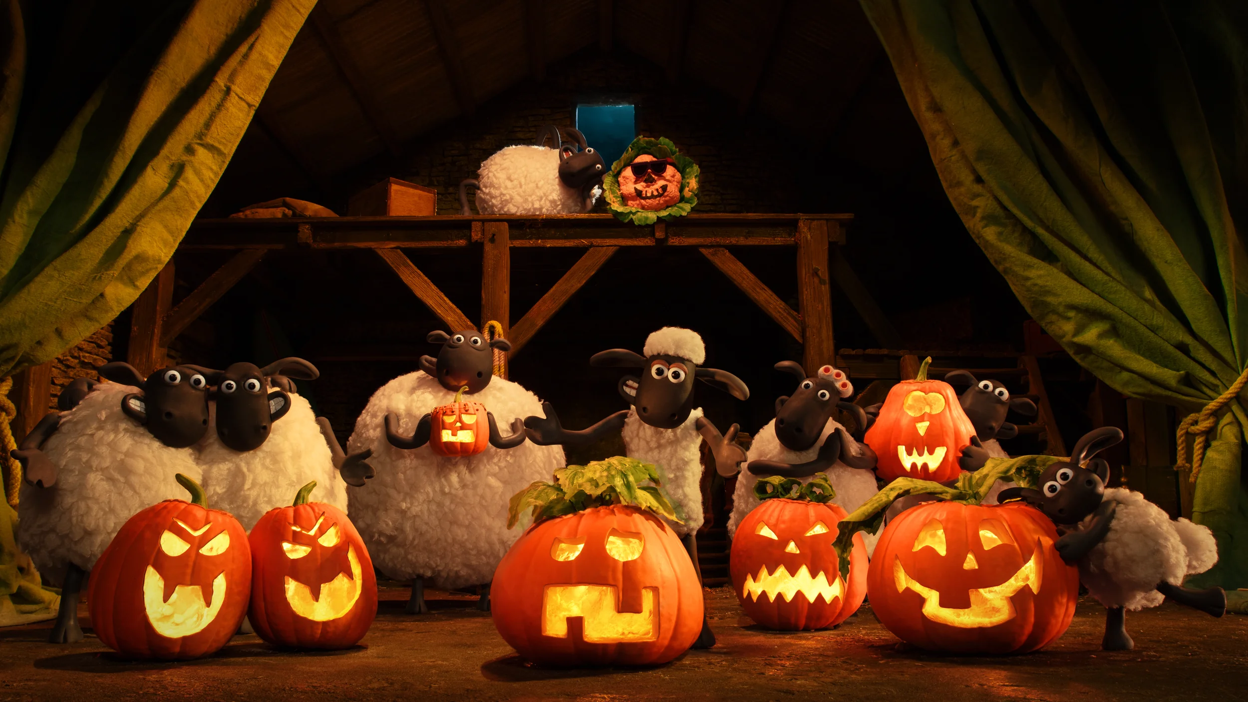 Đàn cừu nông trại Mossy Bottom háo hức bên vườn bí ngô mùa Halloween